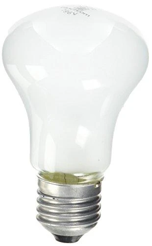 Elinchrom 100W/196V/E27 23002