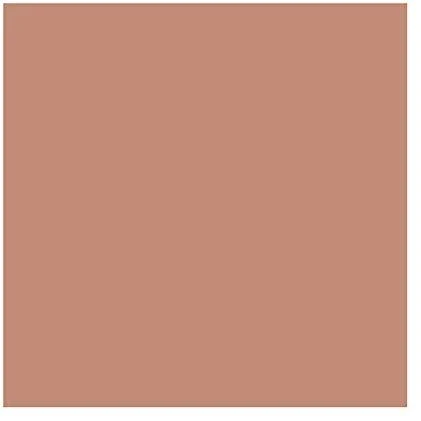 Embryolisse Artist Secret Compact Powder Bronzing Effect bronzinį efektą suteikianti pudra, 12 g