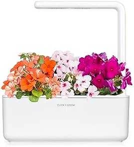 Click and Grow Smart Home 3 vnt. papildymas - sprigių sėklos (Busy Lizzie)