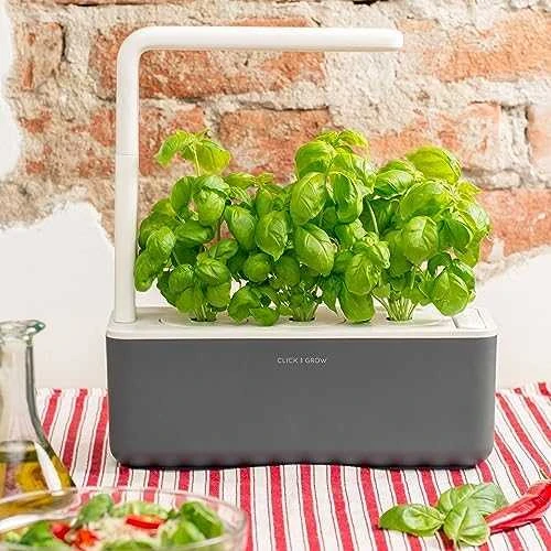 Click and Grow Smart Home 3 vnt. papildymas - bazilikų sėklos