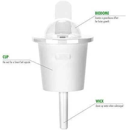 Click and Grow Smart Home 3 vnt. papildymas - čiobrelių sėklos