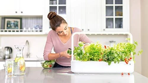 Click Grow „Click and Grow“ – išmaniojo sodo papildymo pakuotė, 3 vnt. – laiškiniai česnakai (SGR38X3)