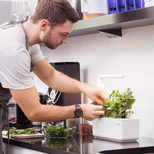 Click and Grow Smart Home 3 vnt. papildymas - kalendros sėklos