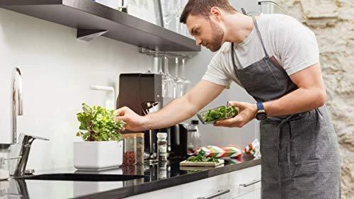 Click and Grow Smart Home 3 vnt. papildymas - kalendros sėklos