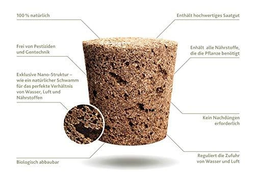 Click and Grow 3 vnt. papildymas - petunijos gėlių sėklos