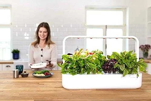 Click And Grow Click & Grow Click & Grow Smart Garden pildomas salotos 3vnt