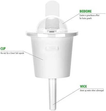 Click And Grow Click & Grow Click & Grow Smart Garden pildomas salotos 3vnt