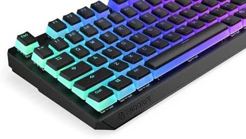 Endorfy Thock TKL belaidė mechaninė klaviatūra su RGB Pudding Edtion (US, Kailh Raudona Switch)