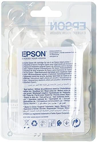 Epson 18 BK Ink cartridge, Juodas