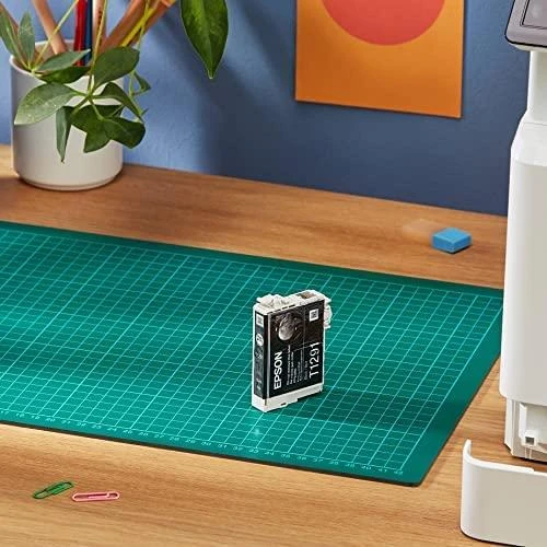Epson 29 ink cartridge, juodas