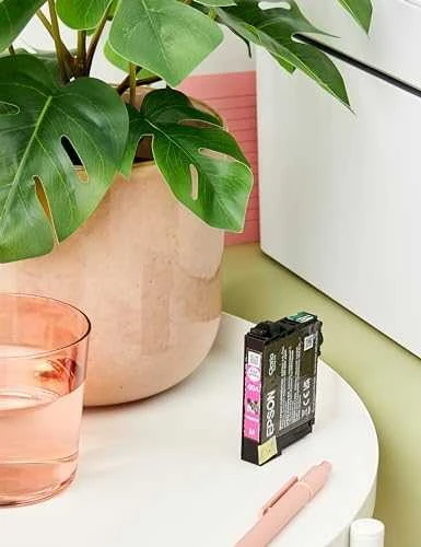 Rašalo Kasetė - Epson Ink 604 Magenta, Išeiga Iki 350 Puslapių, Magenta