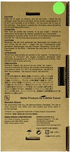 EPSON rašalas T596400 geltonas Stylus Pro 7700 7900 9700 9900 WT7900 UltraChrome HDR 350 ml