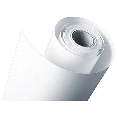 Epson 610/50/Standard bandomojo popieriaus ritinėlis, 24", C13S045008, 205 g/m2, popierius, 610 mm x 50 m, balta, rašaliniams spausdintuvams, ritinėlis