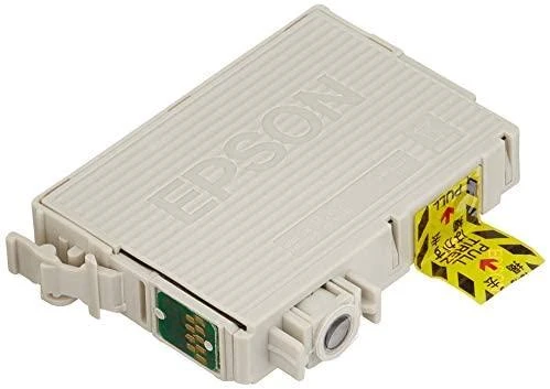 EPSON T0891 juodos spalvas rašalinė