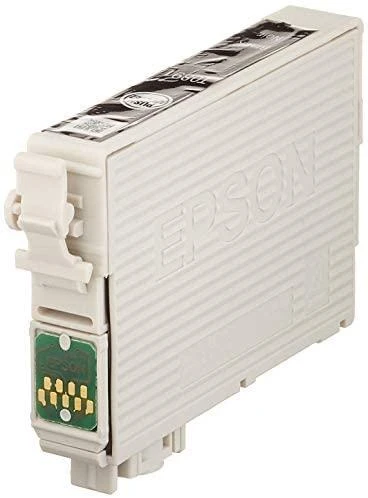 EPSON T0891 juodos spalvas rašalinė
