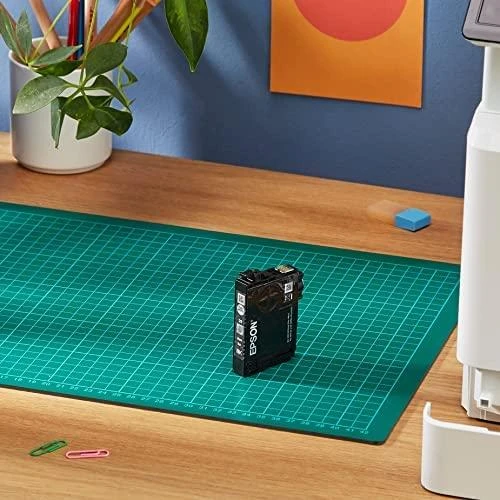 Rašalas Epson rašalas T1291 (juodas)