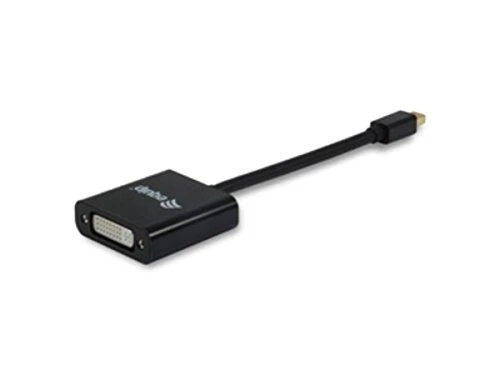 Mini DisplayPort į DVI adapteris