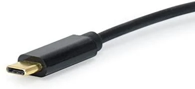 Equip USB įranga USB-C – DisplayPort 1,8 m juodas kabelis (133467)