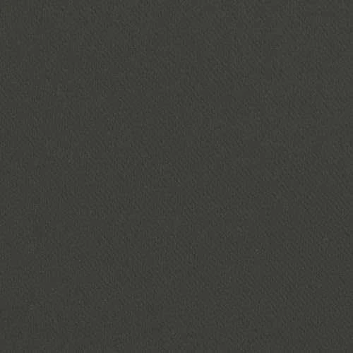 Eurofirany LOGAN blackout tipo temdanti naktinė užuolaida, 140X270 cm, kilpos / žiedai, spalva: grafito