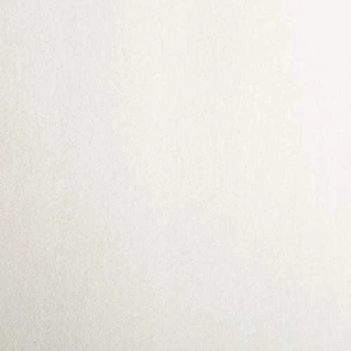 Eurofirany DIVA LINE RIA Minkšto aksomo naktinė užuolaida, 140X250 cm, kilpos / žiedai, spalva: kreminė