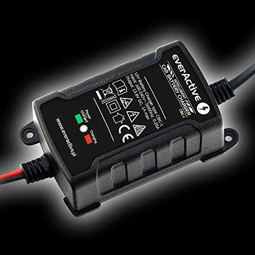 everActive universalus automatinis 6/12V 1000mA akumuliatorių kroviklis