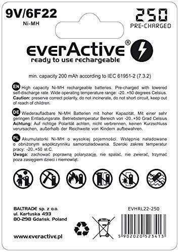 everActive Sidabrinis linija paruošta naudojimui 9V 250mAh akumuliatorius, 1 vnt.