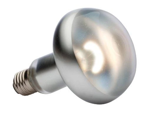 „Exoterra“ – intensyviai šviečianti kepsninė 150 W – oranžinė – S30