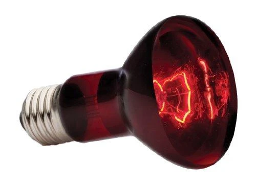 Exo Terra Hagen EXOTERRA ŻAR. INFRAUDONŲJŲ RAUDONŲJŲ TAŠKAS 50W