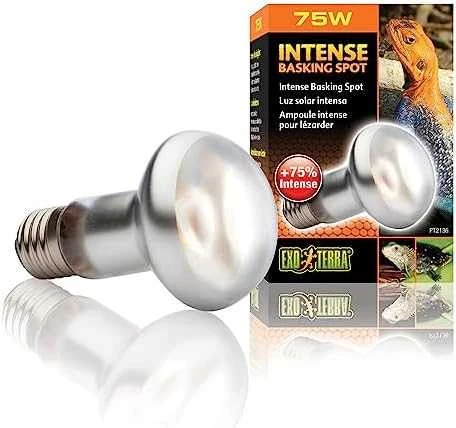 Exoterra „Exo Terra“ – intensyviai šviečianti kepimo lempa 75W S20 E27 oranžinė - (220.2475)