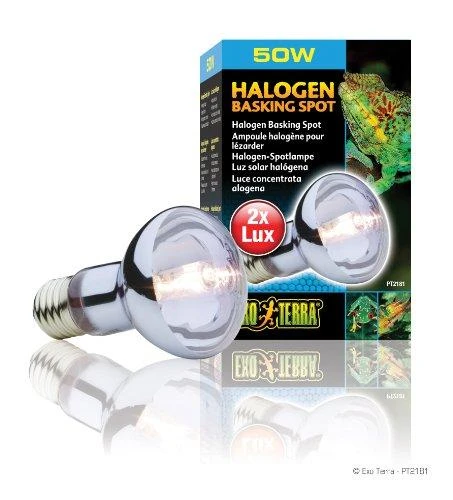 Exo Terra Hagen EXOTERRA LEMPUTĖ HALOGEN SPOT 50W