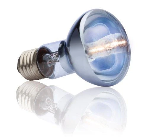 Exo Terra Hagen EXOTERRA LEMPUTĖ HALOGEN SPOT 50W