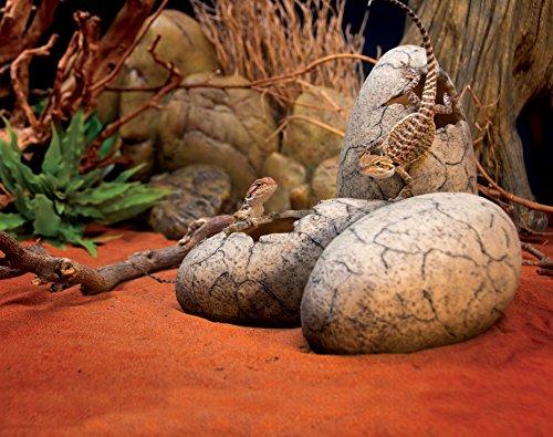 Exo Terra Hagen DINOSAUROS DEKLARACIJA Vištos