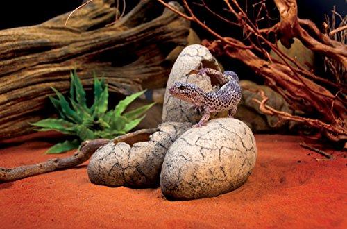Exo Terra Hagen DINOSAUROS DEKLARACIJA Vištos