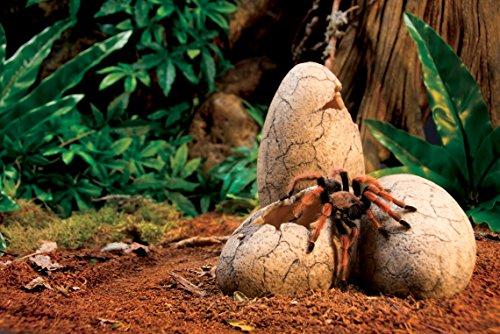 Exo Terra Hagen DINOSAUROS DEKLARACIJA Vištos