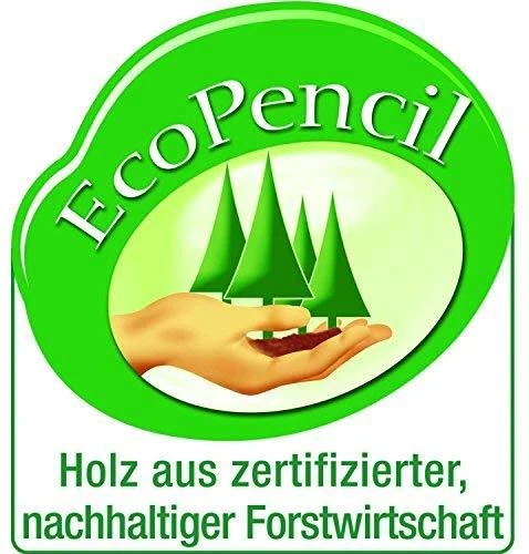 Pieštukas Faber- Castell Grip 2001, HB, drožtas 1221-104