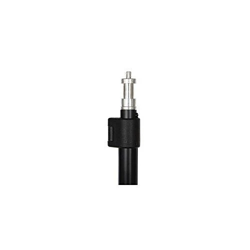 Falcon Eyes Light Stovas W803 86-205 cm
