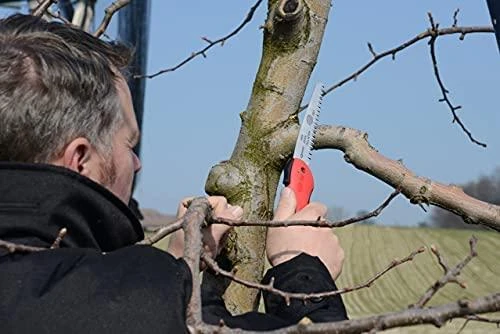 Sekatorius prasilenkiančiais ašmenimis Felco 6