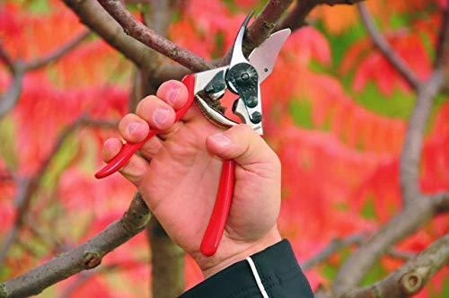 Felco | Vienarankės genėjimo žirklės | FELCO 6