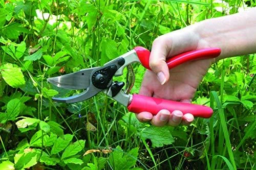 Sekatorius FELCO 7