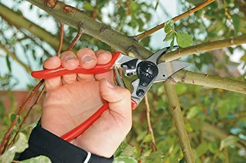 Felco | Vienarankės genėjimo žirklės | FELCO 6