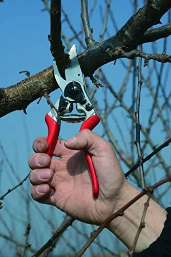 Tiekimas Sekatorius FELCO 8
