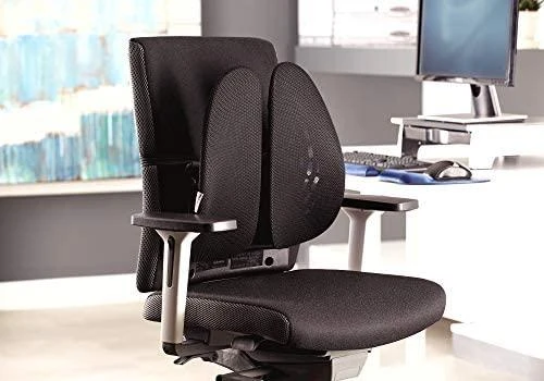 Fellowes nugaros angelas