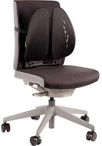 Fellowes nugaros angelas