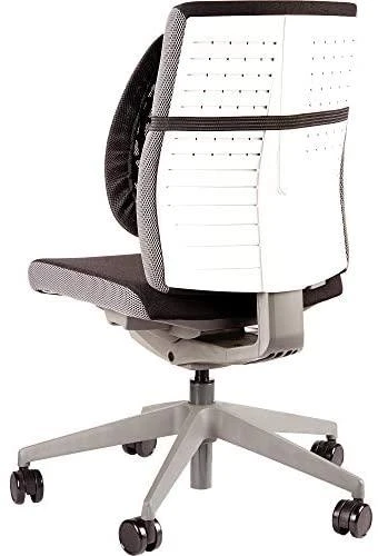 Fellowes nugaros angelas