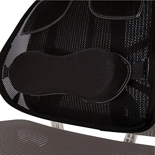 Nugaros atrama Fellowes Professional Series Mesh Back Support