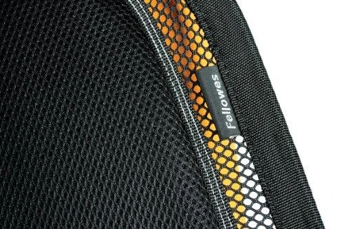 Nugaros atrama Fellowes Professional Series Mesh Back Support