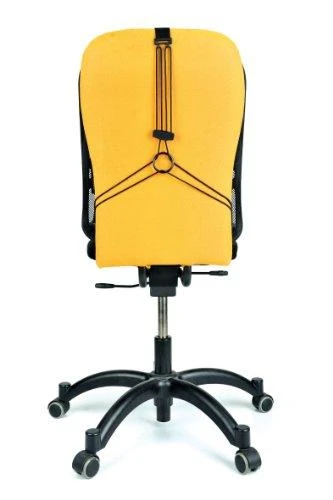 Nugaros atrama Fellowes Professional Series Mesh Back Support