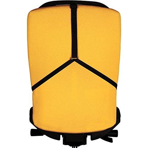 Nugaros atrama Fellowes Professional Series Mesh Back Support