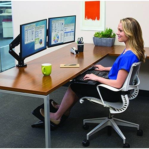 Laikiklis Fellowes | Platinum Series Dual Horizontal Monitorius Arm | 8042501 | Juodas