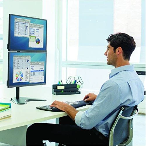 Laikiklis Fellowes Ergonomics laisvai stovinti rankena 2 monitoriams - Seasa vertikali - buvusi Professional Series™